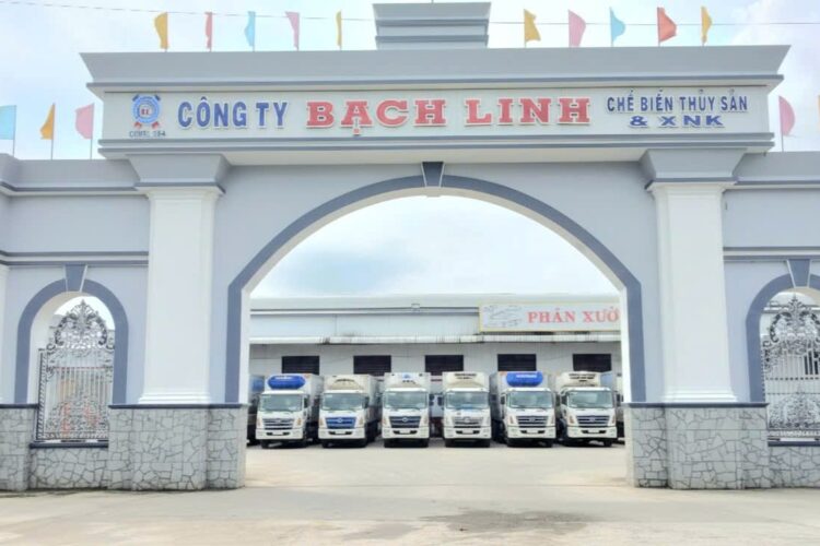 Hình ảnh công ty Bạch Linh với dàn xe tải logistics xuất khẩu thủy sản đông lạnh.