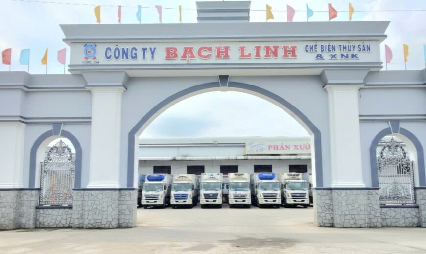 Hình ảnh công ty Bạch Linh với dàn xe tải logistics xuất khẩu thủy sản đông lạnh.