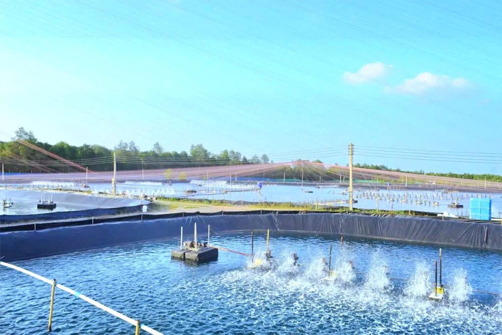 Công ty Bạch Linh hợp tác kiểm soát chất lượng nguồn nguyên liệu thủy sản đầu vào