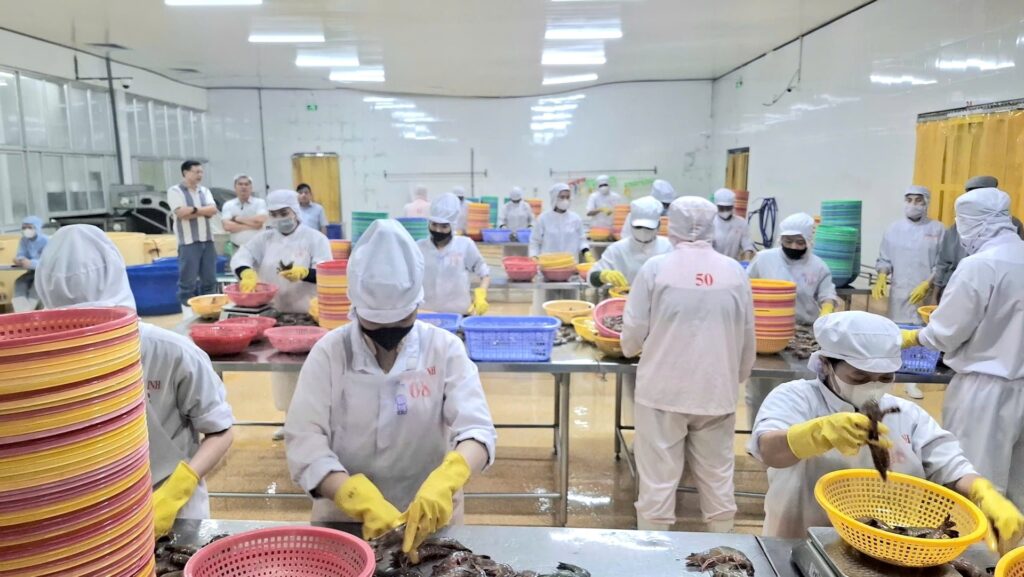 Kiểm tra nguyên liệu đầu vào của Công Ty Bạch Linh đạt chuẩn HACCP