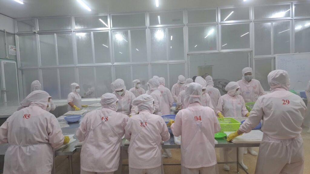 Công nhân chế biến thủy sản Công Ty Bạch Linh tuân thủ vệ sinh haccp