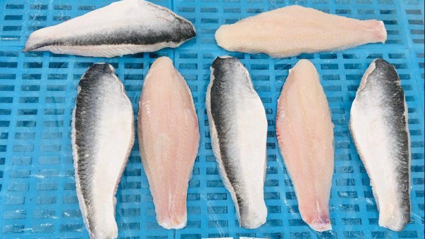 Cá tra fillet đông lạnh xuất khẩu tiêu chuẩn Well-trimmed của Công ty Bạch Linh.